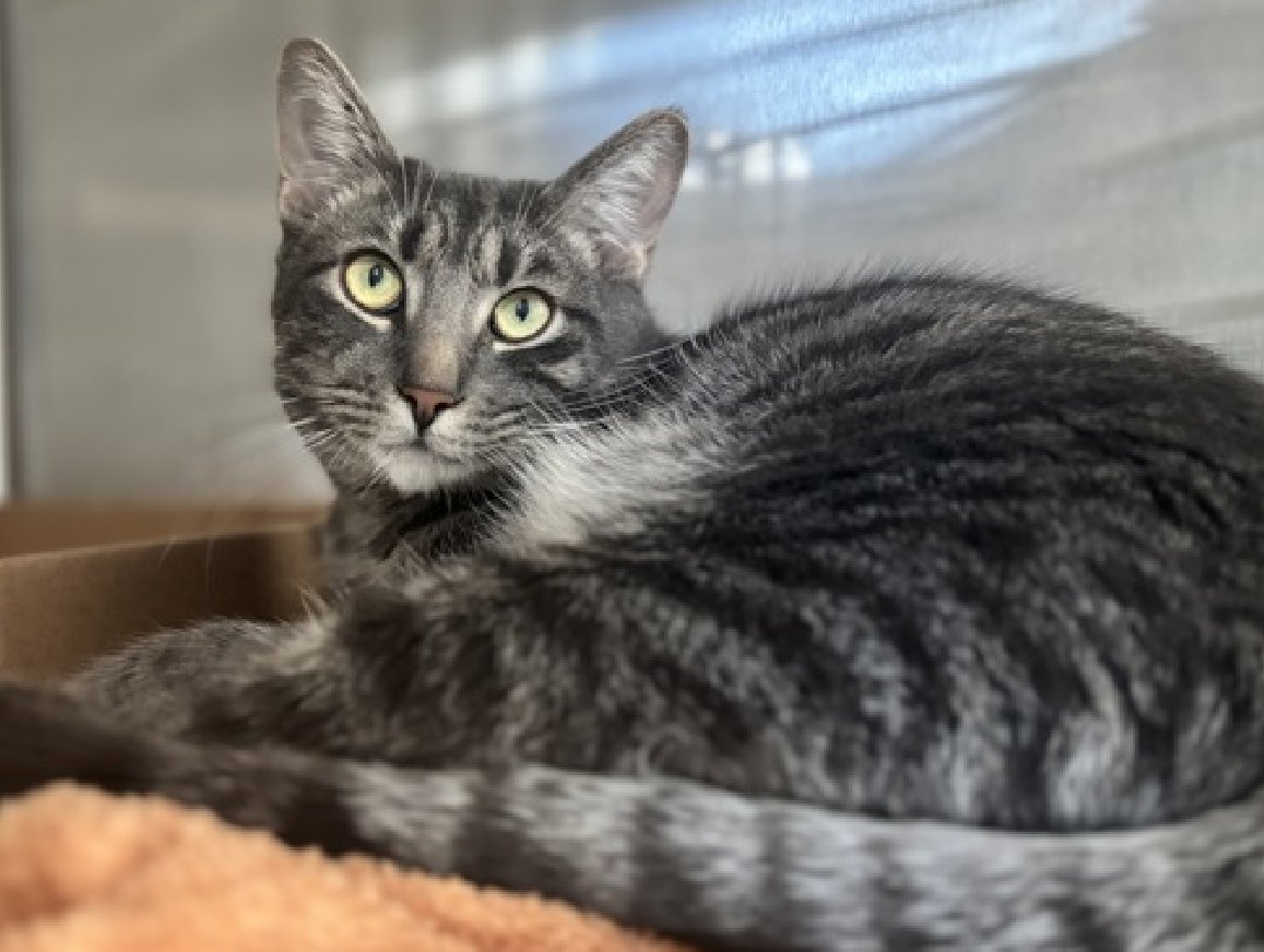 Jack5928 tweet media