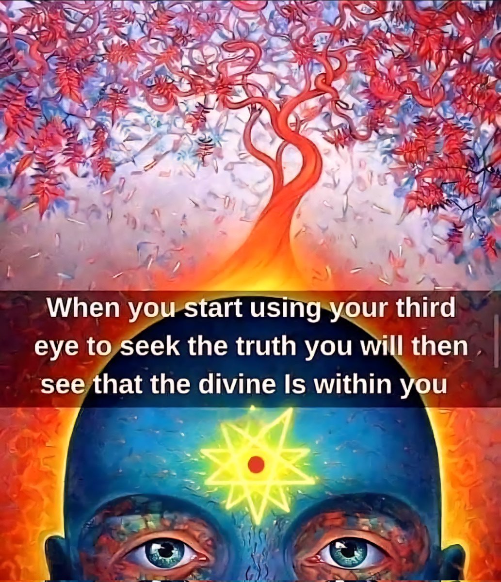 ⚜️🪬𝕂𝕖𝕣𝕣𝕚𝕖🪬⚜️ tweet media