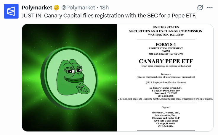 Breaking Pizza tweet media