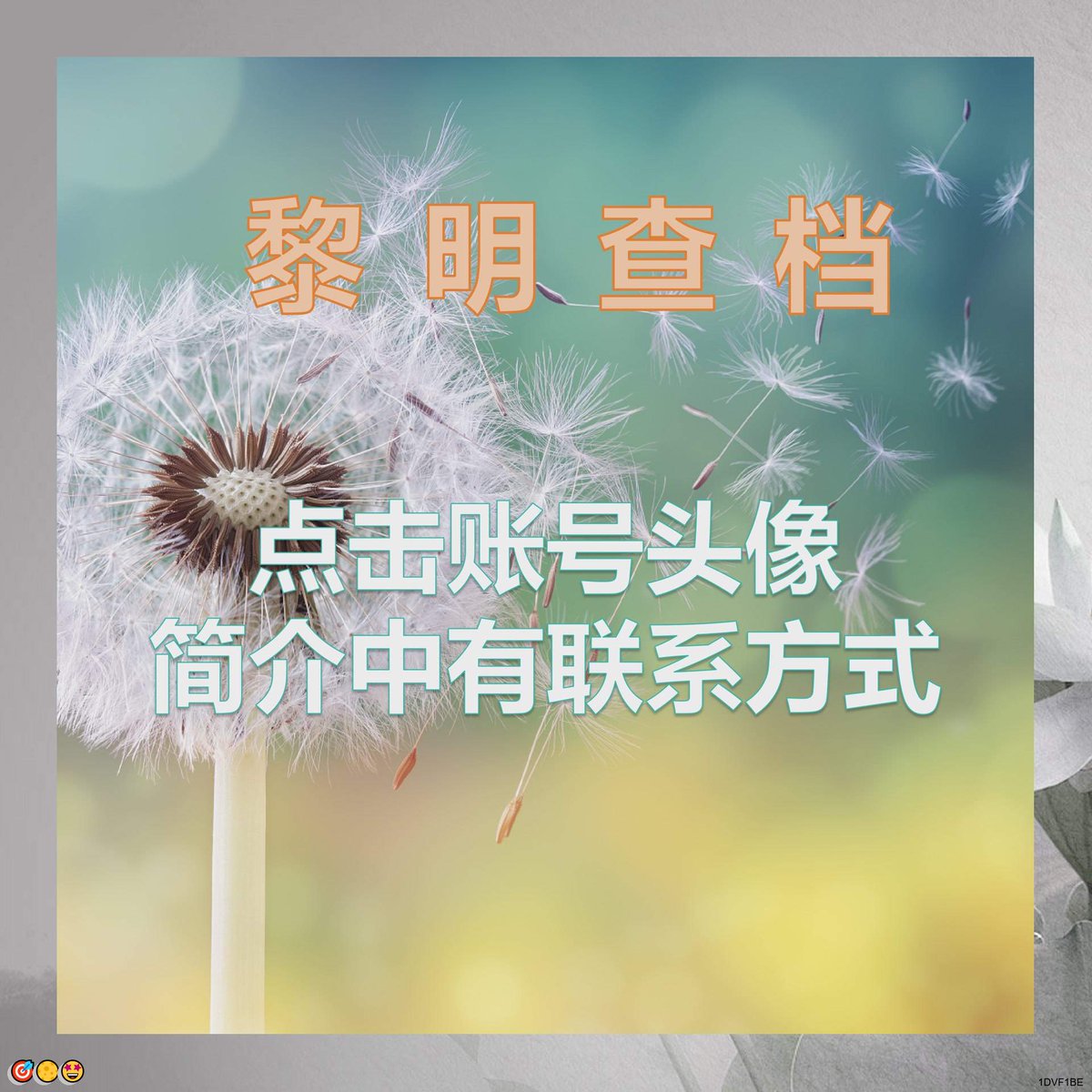 Michelle Foster tweet media