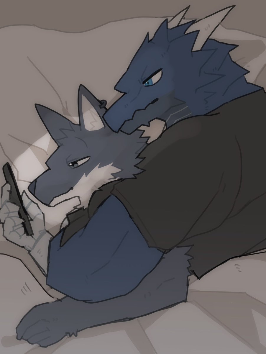 Guin🦈🫍関西けもケ【M-43/売り子】 tweet media