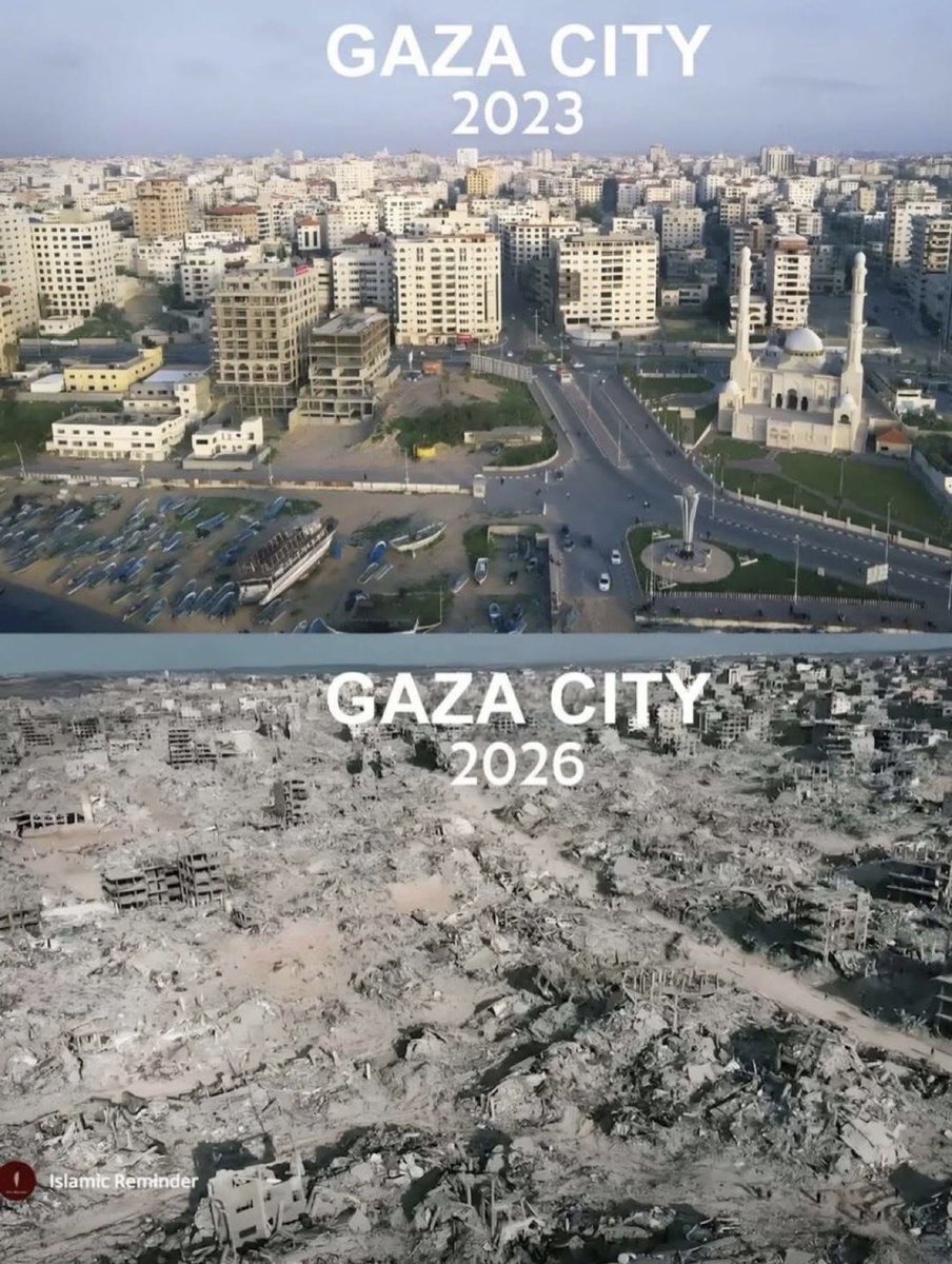 ADI ALARDAH tweet media