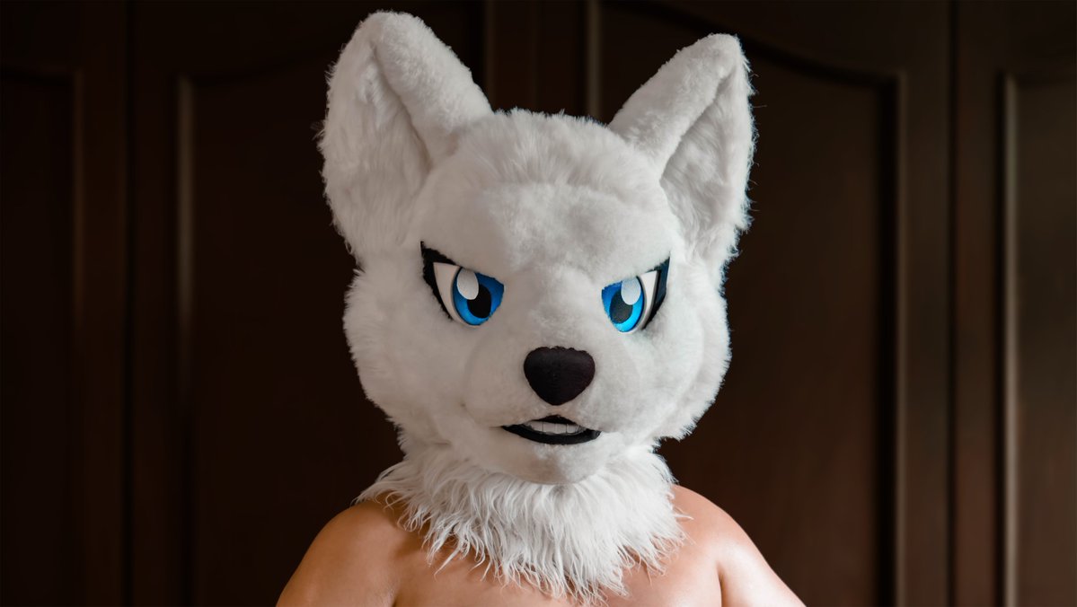 g_kid007's tweet image. Oh yes  

#FursuitEveryday #EDGE
#fursuit #fursuiter #whitewolf #หมาขาว