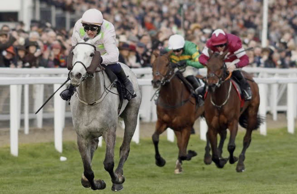 Owen🐎 tweet media