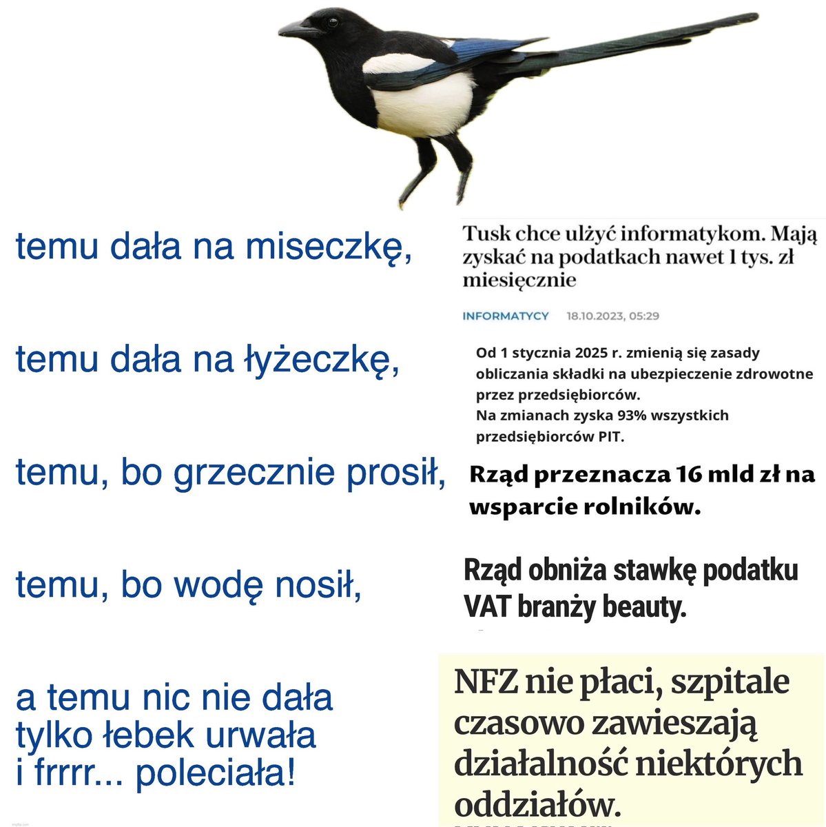 fiat money tweet media