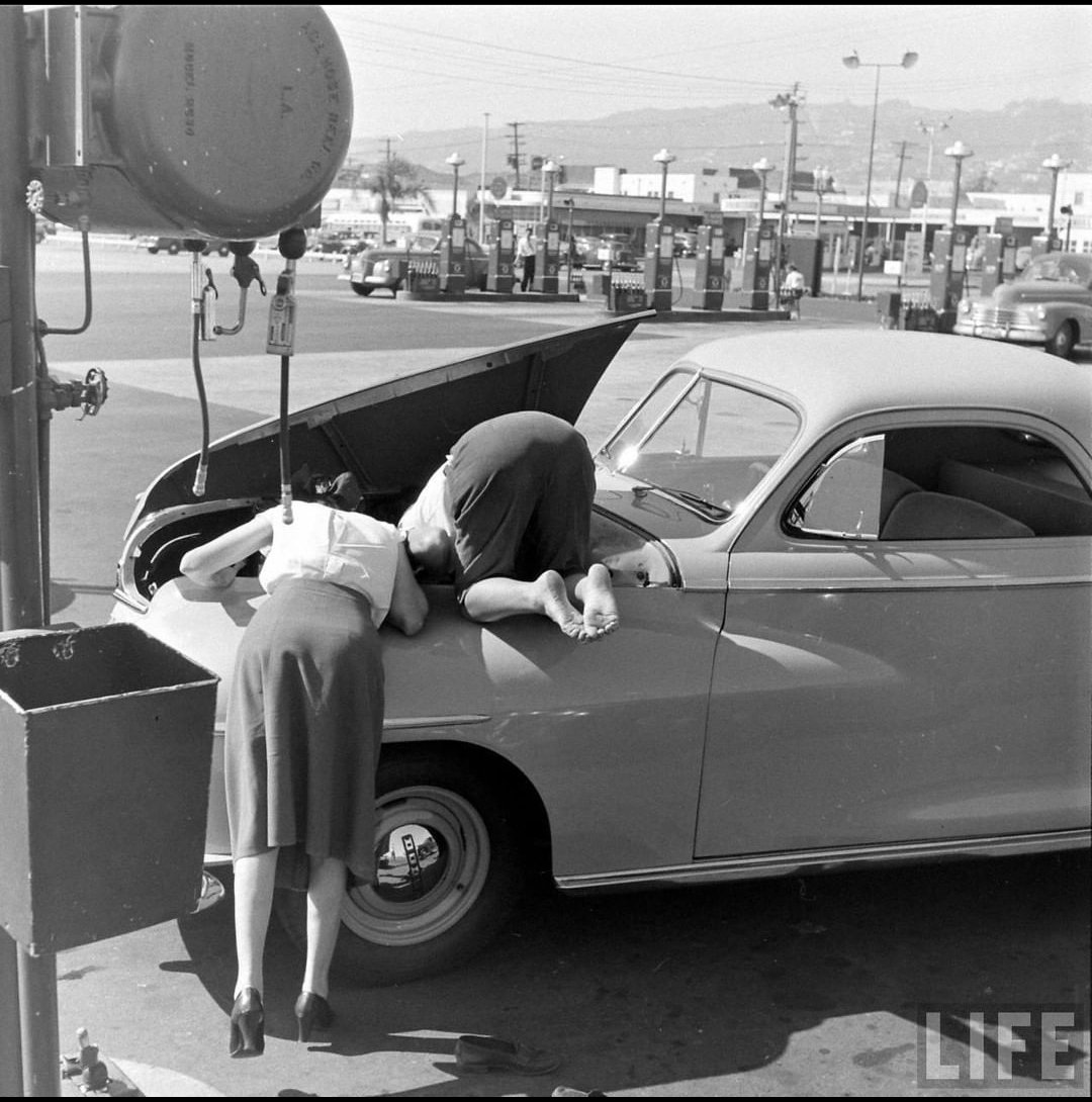 Alles aka Quinn 🤍 tweet media