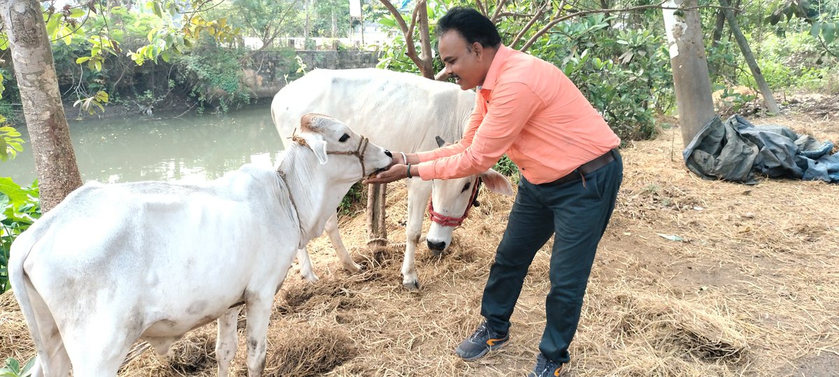 GURUDEVJEE's tweet photo. जानवरों को बचाओ गुरुदेव एजुकेशनल सोसाइटी नई दिल्ली https://t.co/tt2W4lCbc2