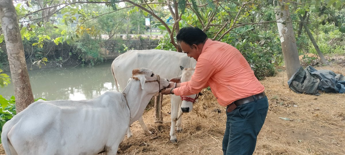 GURUDEVJEE's tweet photo. जानवरों को बचाओ गुरुदेव एजुकेशनल सोसाइटी नई दिल्ली https://t.co/tt2W4lCbc2