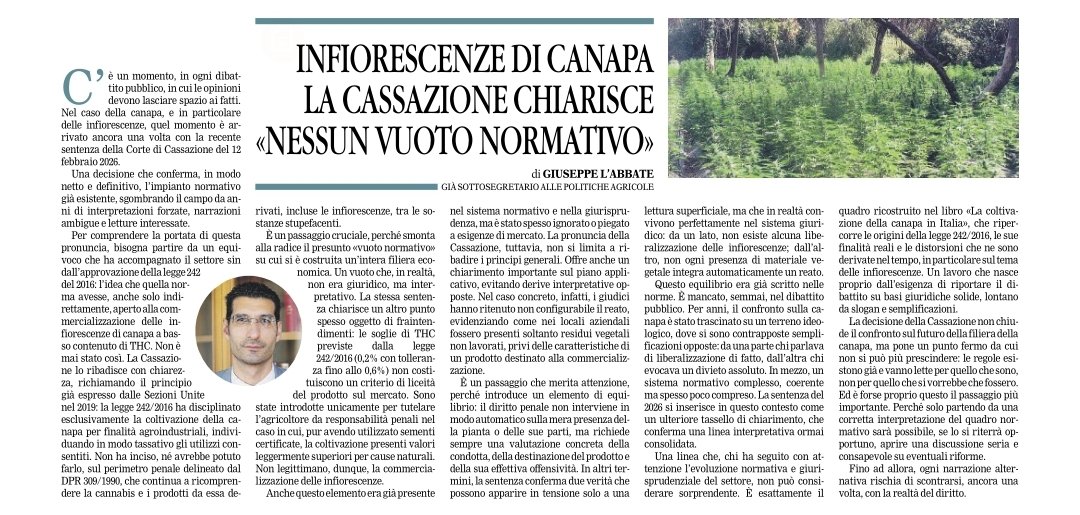 Giuseppe L'Abbate tweet media