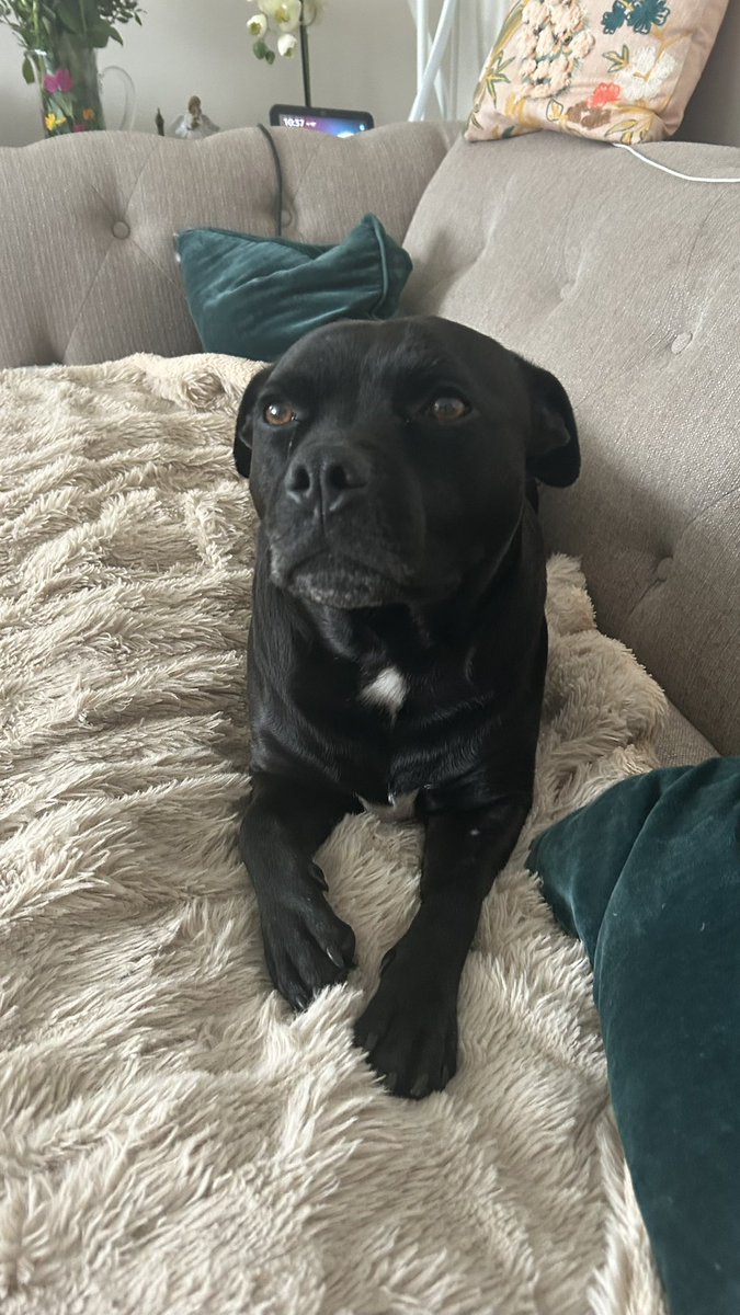 Baby Frank & his teddy, Edward 🧸🏴󠁧󠁢󠁷󠁬󠁳󠁿 tweet media