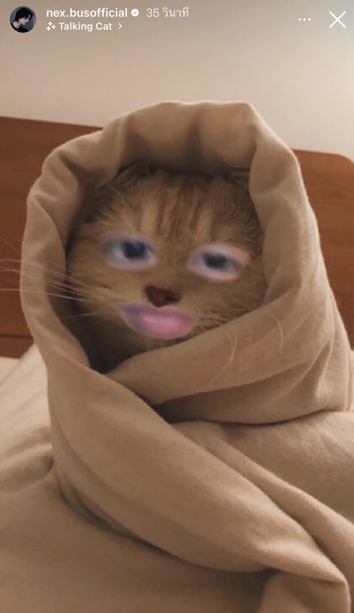 yxng🐈⬛ สาขา2 tweet media