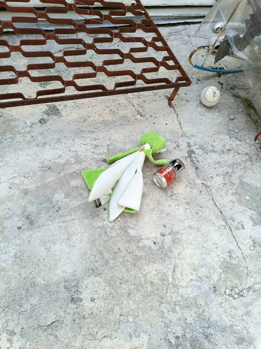 Gardy The Gardevoir tweet media