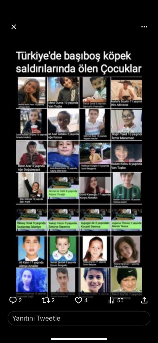 istanblues tweet media