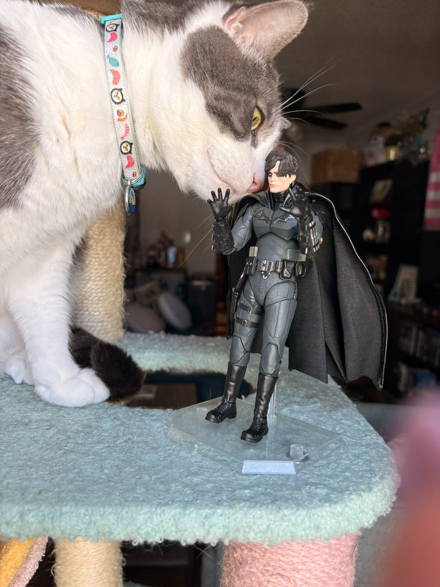 allie 🫧 tweet media