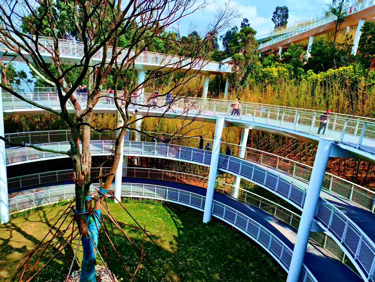 Jiku Rout tweet media