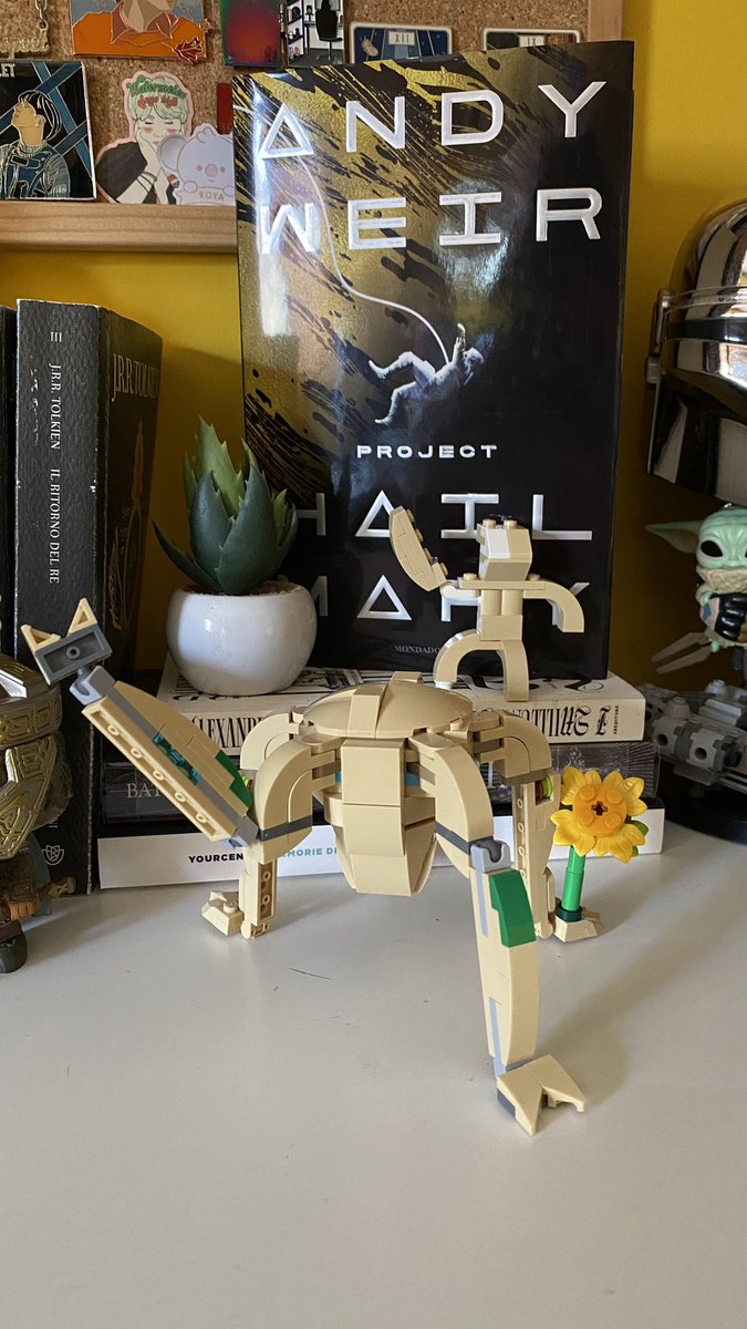 fran 🐀🩺 tweet media