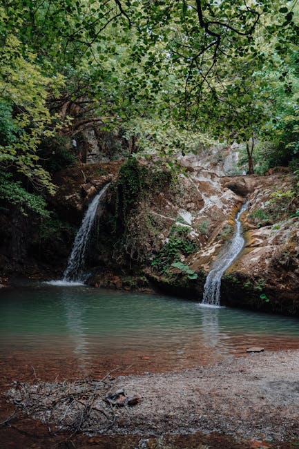 Dale Dudley tweet media