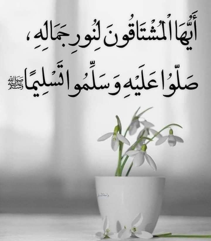 شهد الأميره 🌹🌹 tweet media