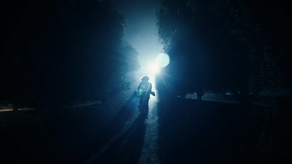 screencaps tweet media