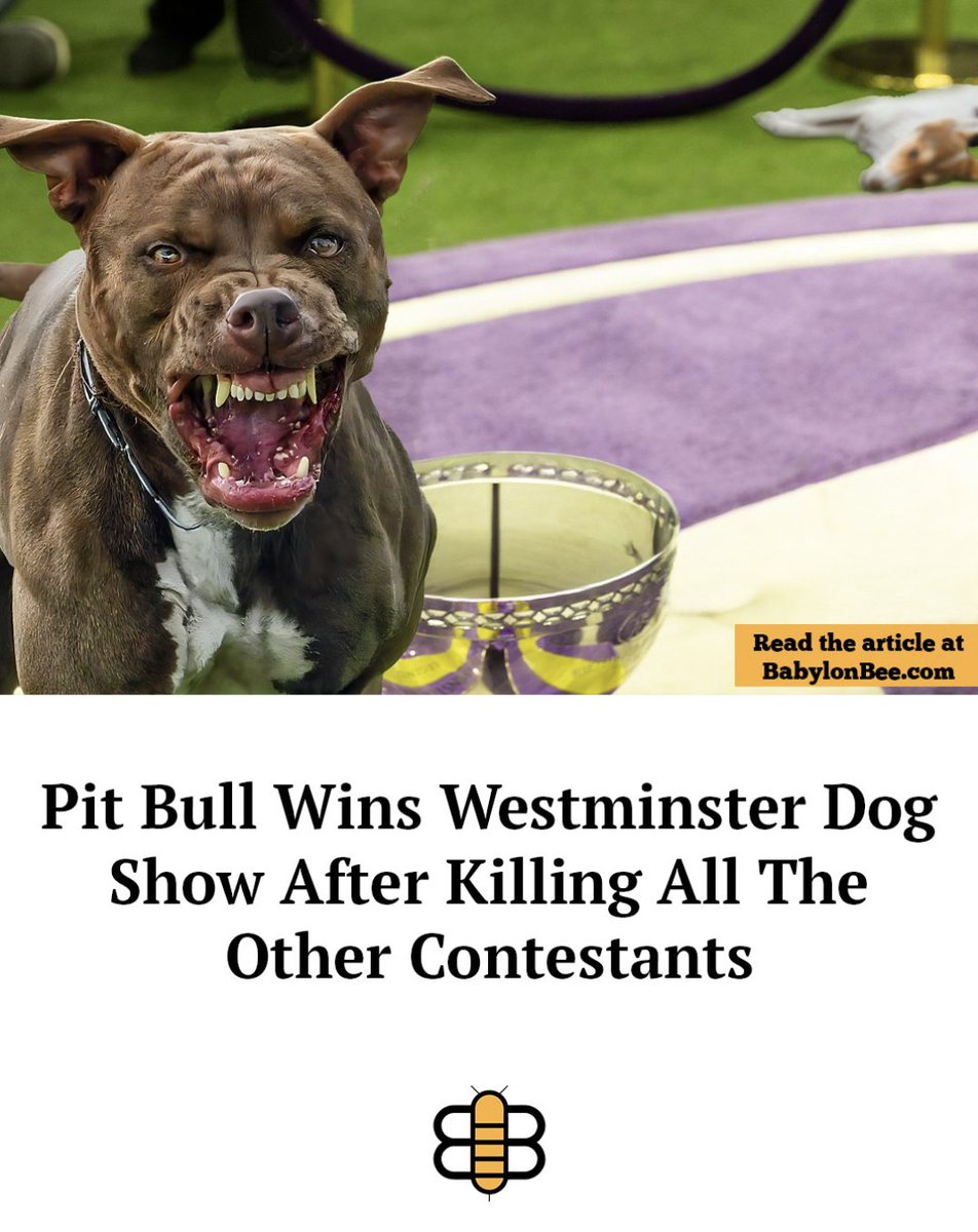 The Pepperazzi 🌶🇺🇸 tweet media