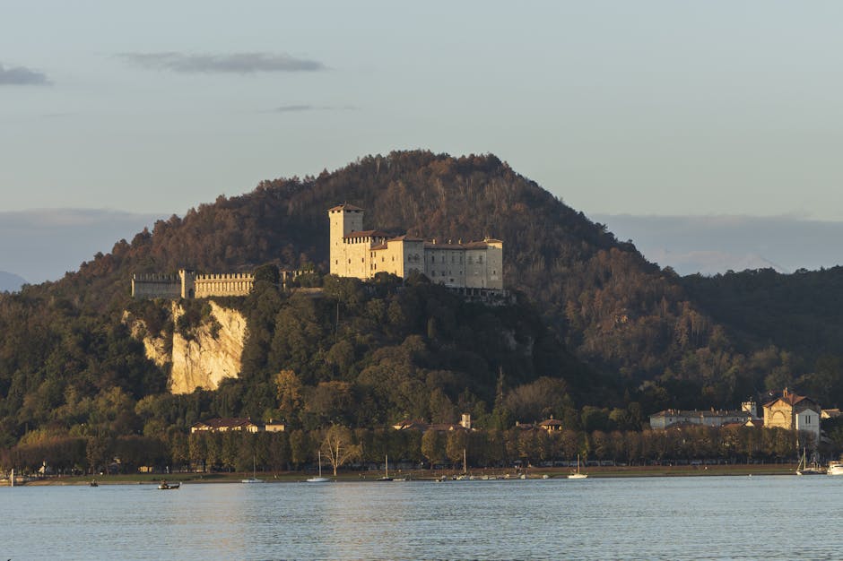 Sydney Warren tweet media