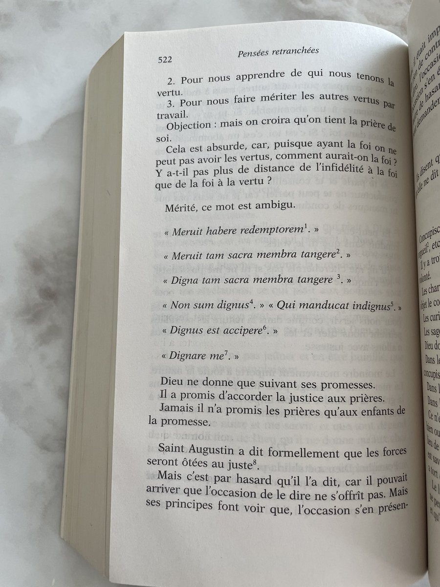 Nitescencia tweet media