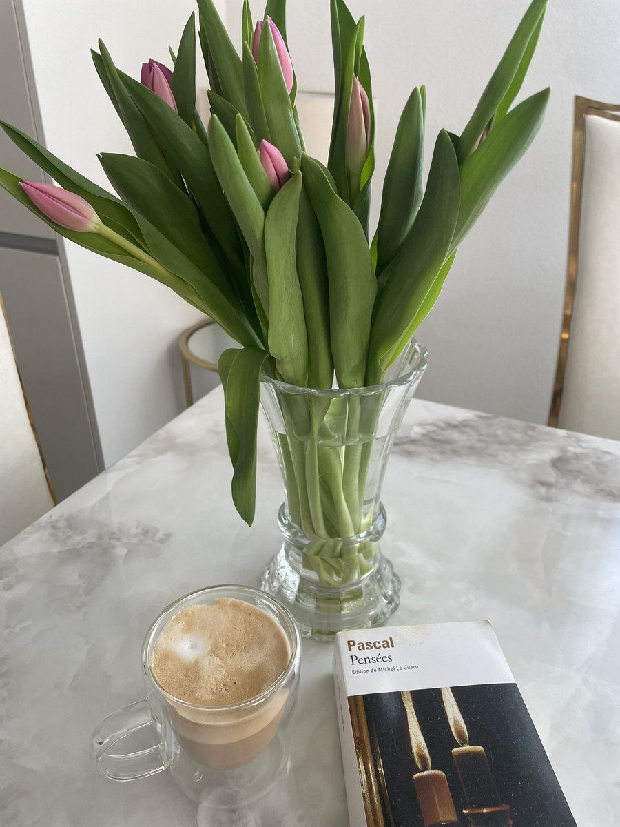 Nitescencia tweet media