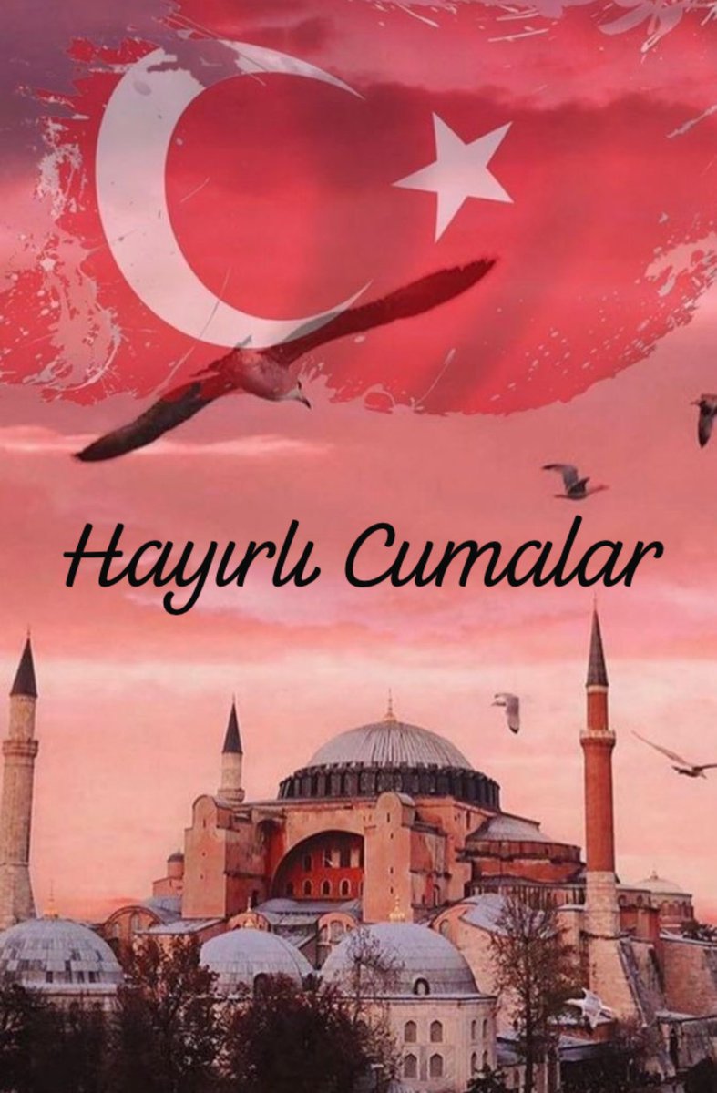 mehmetergin38's tweet photo. https://t.co/cghUC5cKVB
