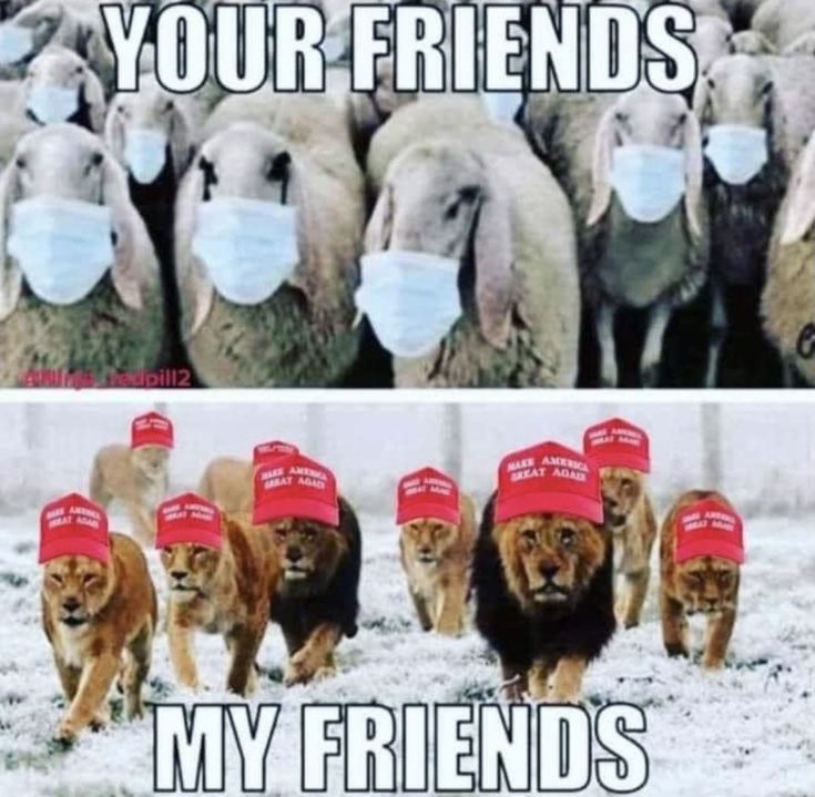 Austin Capps tweet media