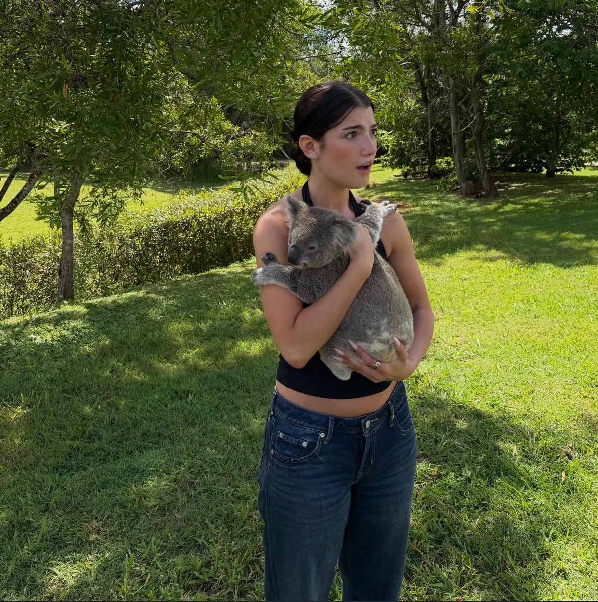 𝐂𝐚𝐫𝐨𝐥𝐢𝐧𝐚 𝐃𝐫𝐞𝐚𝐦𝐢𝐧' tweet media