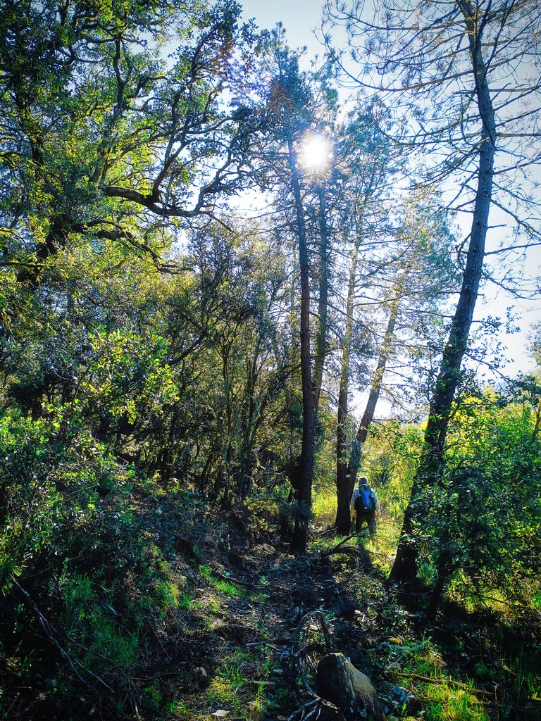 Elcaminante tweet media