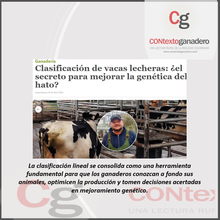 PL OCAÑA-PASION GANADERA tweet media