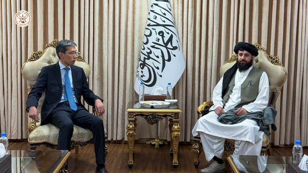 People’s Republic of China Ambassador, Mr. Zhao Xing, Meets with Honorable Mawlawi Mohammad Yaqoob “Mujahid,” I.E.A Minister of National Defense, in Kabul

During the meeting, discussions and exchanges of views were held regarding Afghanistan and China bilateral relations...