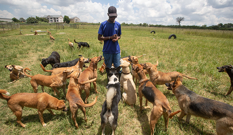 GIJN Africa tweet media