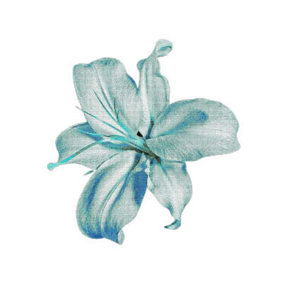 wieldswords's tweet photo. 𓏼PARADISE  HAS  GOT  A  SPOT  FOR  ME  FLAWLESS  IS  ALL  I  NEED  TO  BE⠀⠀…͟ https://t.co/6ZKliCjLxO