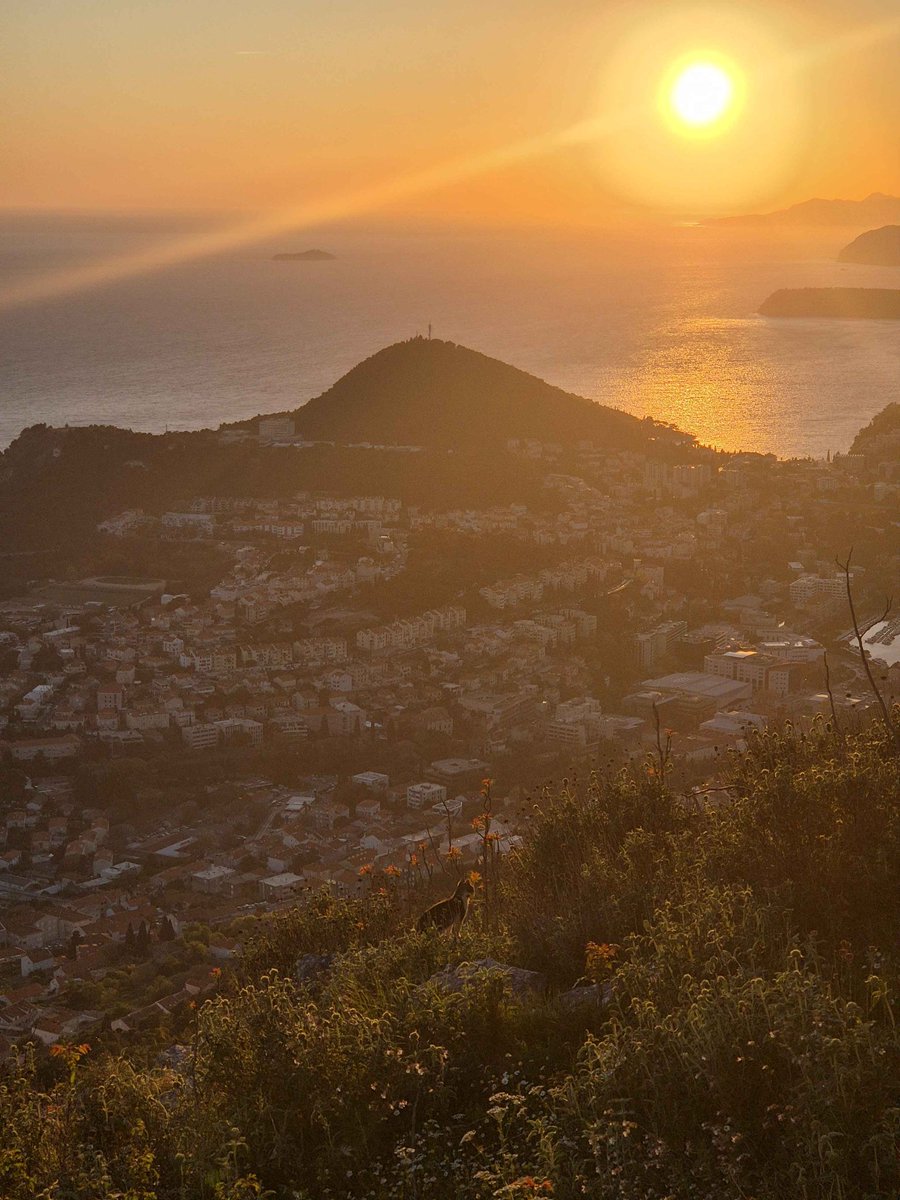 MarkoBoyGamer tweet media