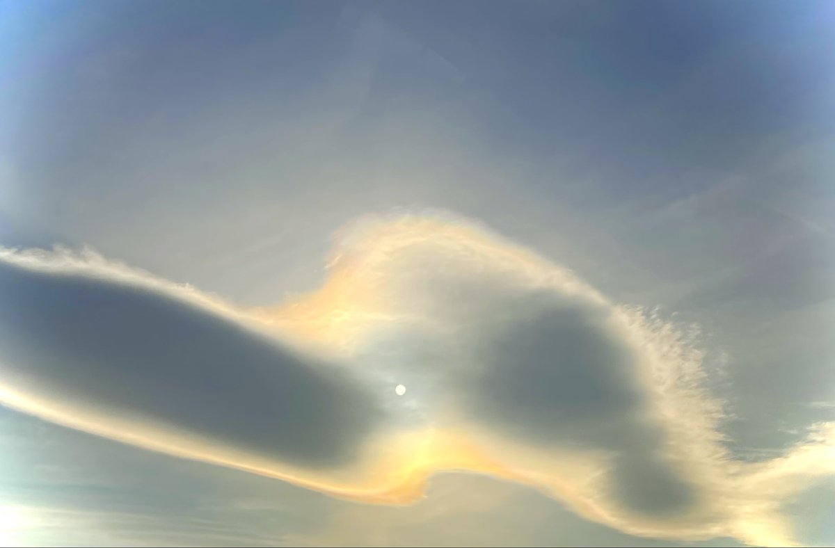 WithMee; tweet media