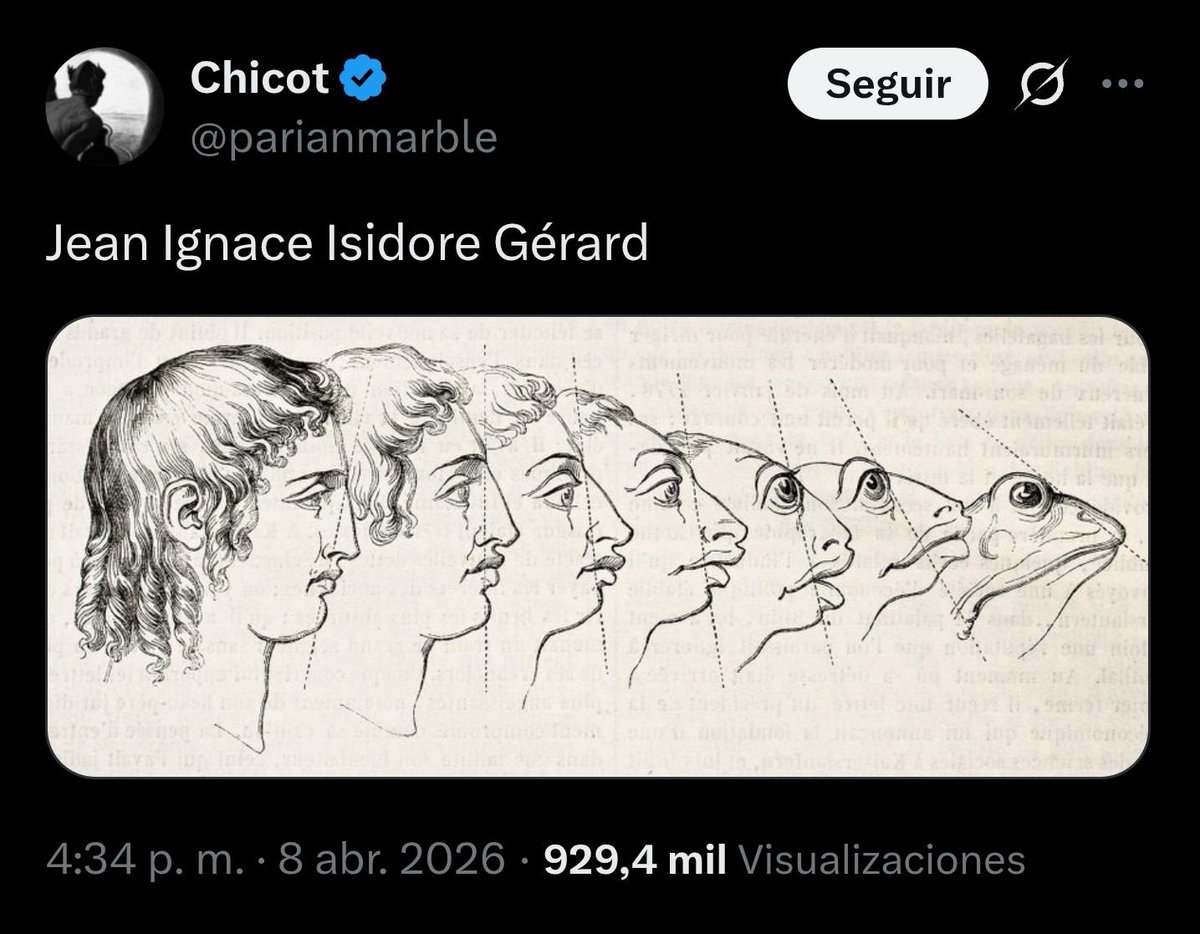 Tendencia X tweet media