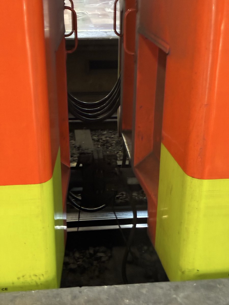 Rogelio Herrera tweet media