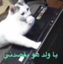 M ❄️ tweet media