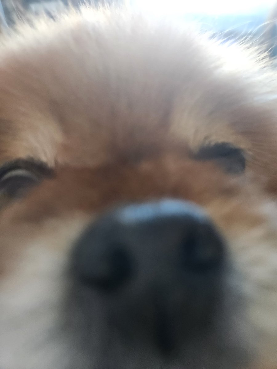 Daft ワラス tweet media