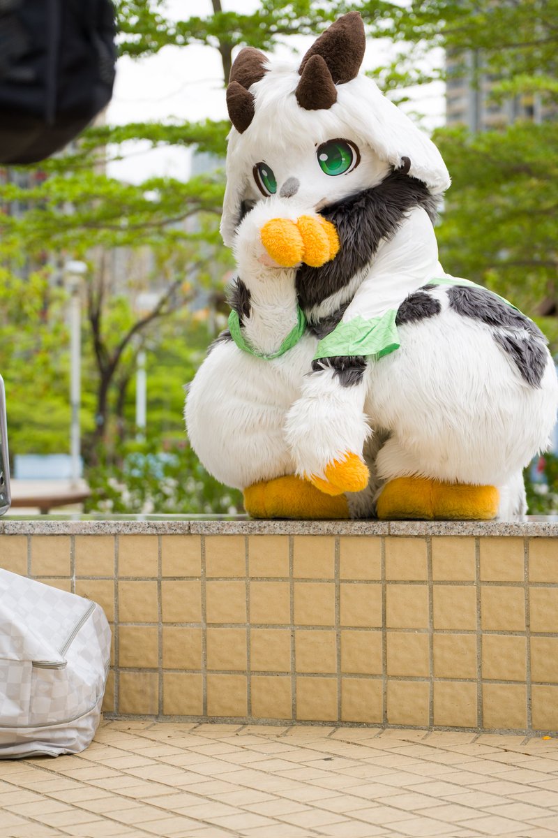 正義セイギ➡️Hifurry tweet media