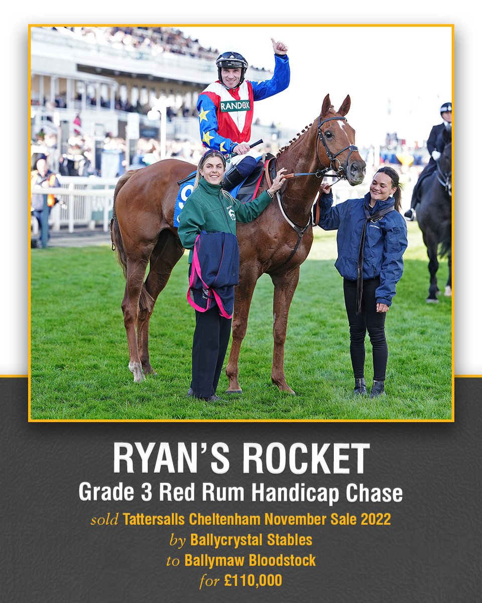 Tattersalls Cheltenham tweet media