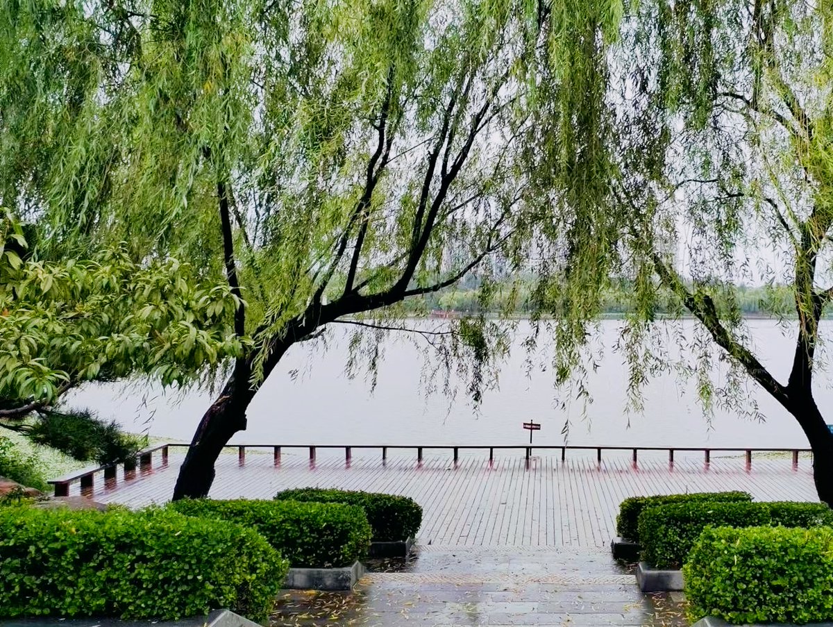 dhaval_bharwad tweet media