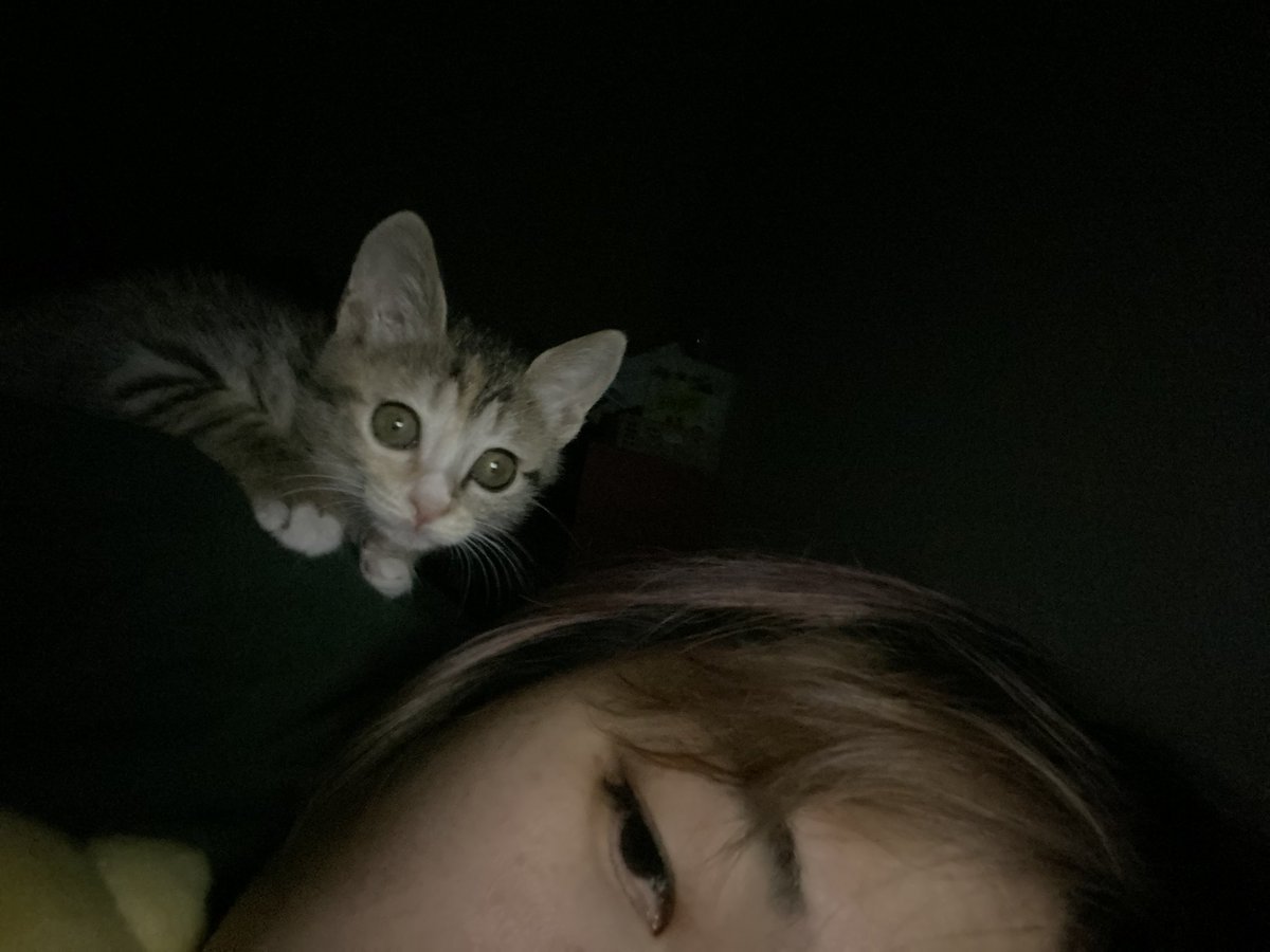 암카운터 김맥골 tweet media