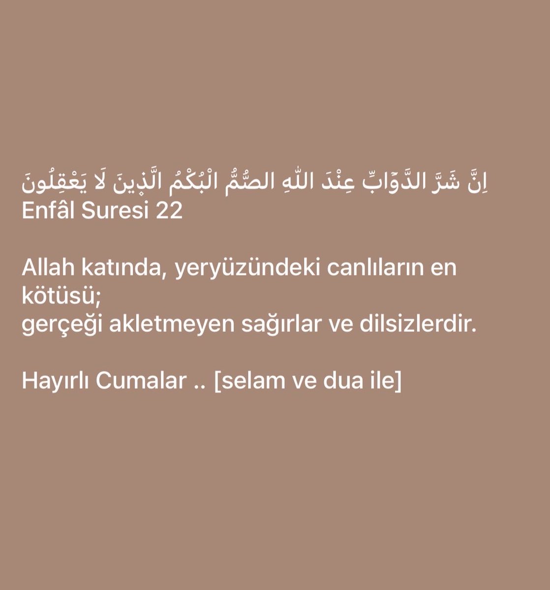 ahmetterran's tweet photo. https://t.co/rxASmOhD8P