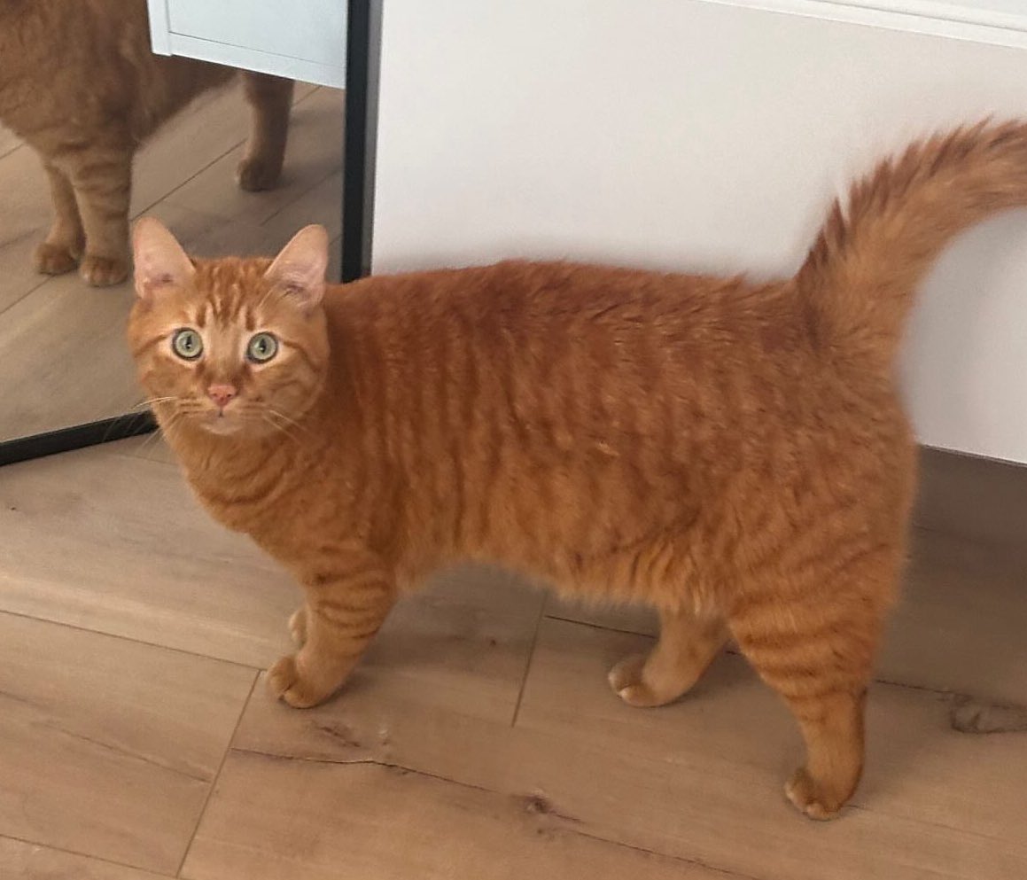 Maya Taç tweet media