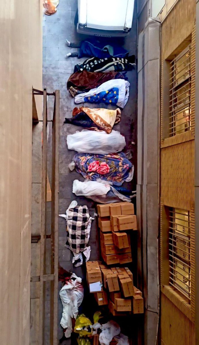 هارپاگ tweet media