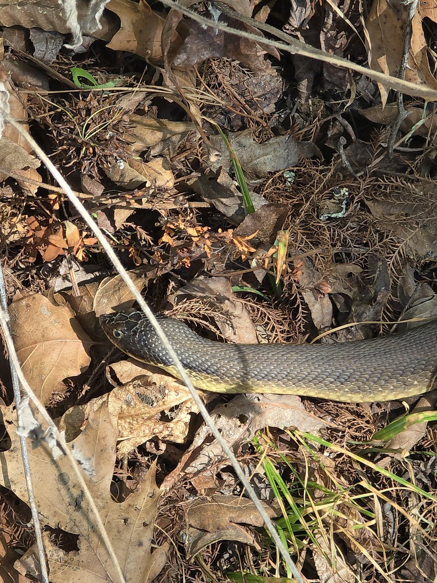 Don 🇺🇲🍀 tweet media