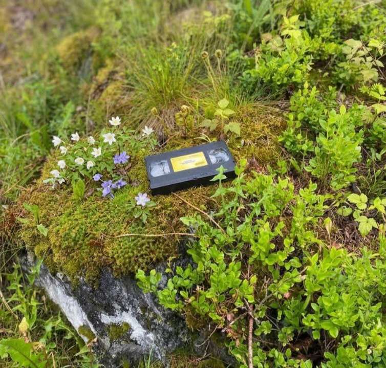 Nicolas Perle tweet media